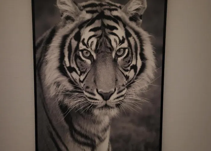 Le Fassio - Wifi - Stationnement Gratuit Lens