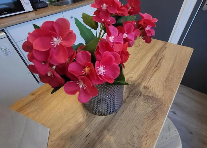 Lägenhet Le Fassio - Wifi - Stationnement Gratuit Lens